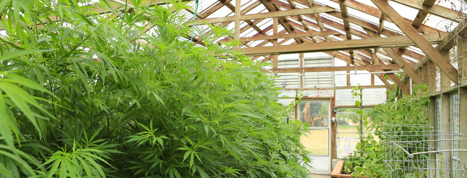 Security Solutions for Apartments in Dallas, GA